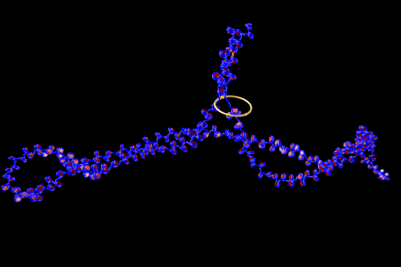 Picture of simulated chromatin fiber