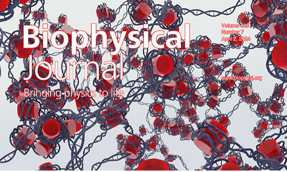 Biophysical Journal 2nd. April
